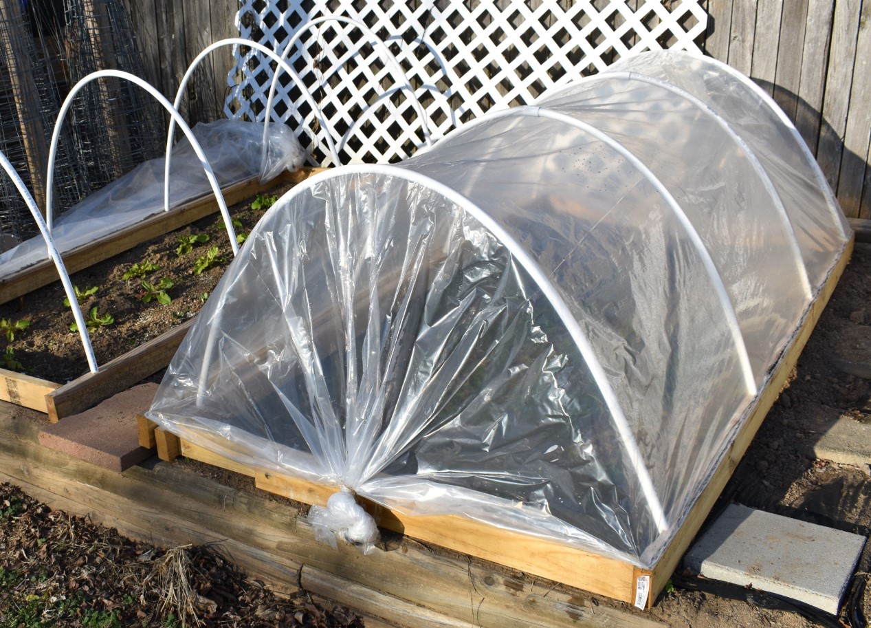 Kuidas pikendada aianduse hooaega Eestis: kerged tunnelid, kasvuhooned ja katused, mis toimivad