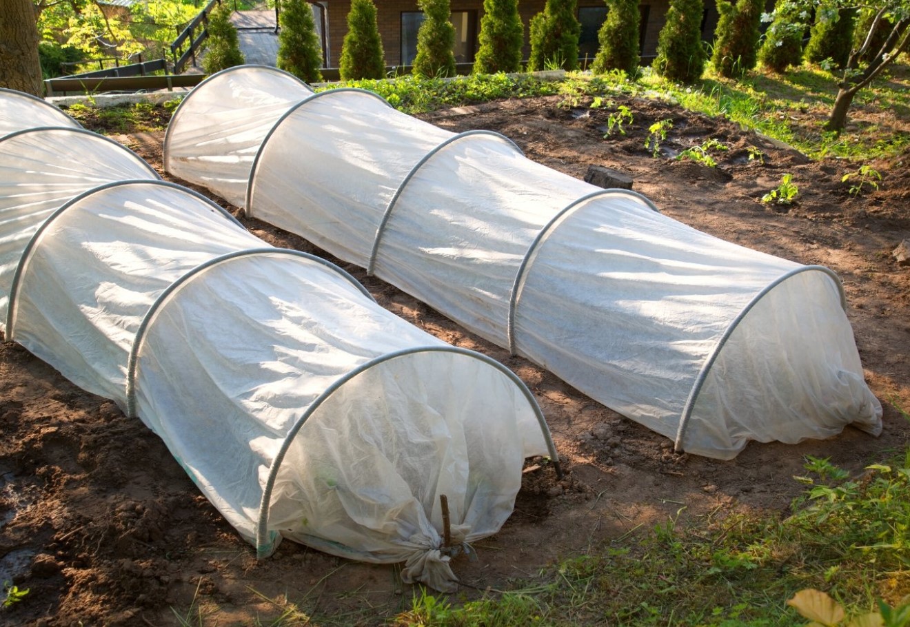 Kuidas pikendada aianduse hooaega Eestis: kerged tunnelid, kasvuhooned ja katused, mis toimivad