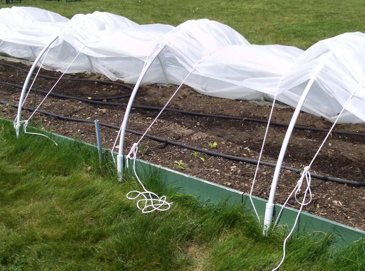 Kuidas pikendada aianduse hooaega Eestis: kerged tunnelid, kasvuhooned ja katused, mis toimivad