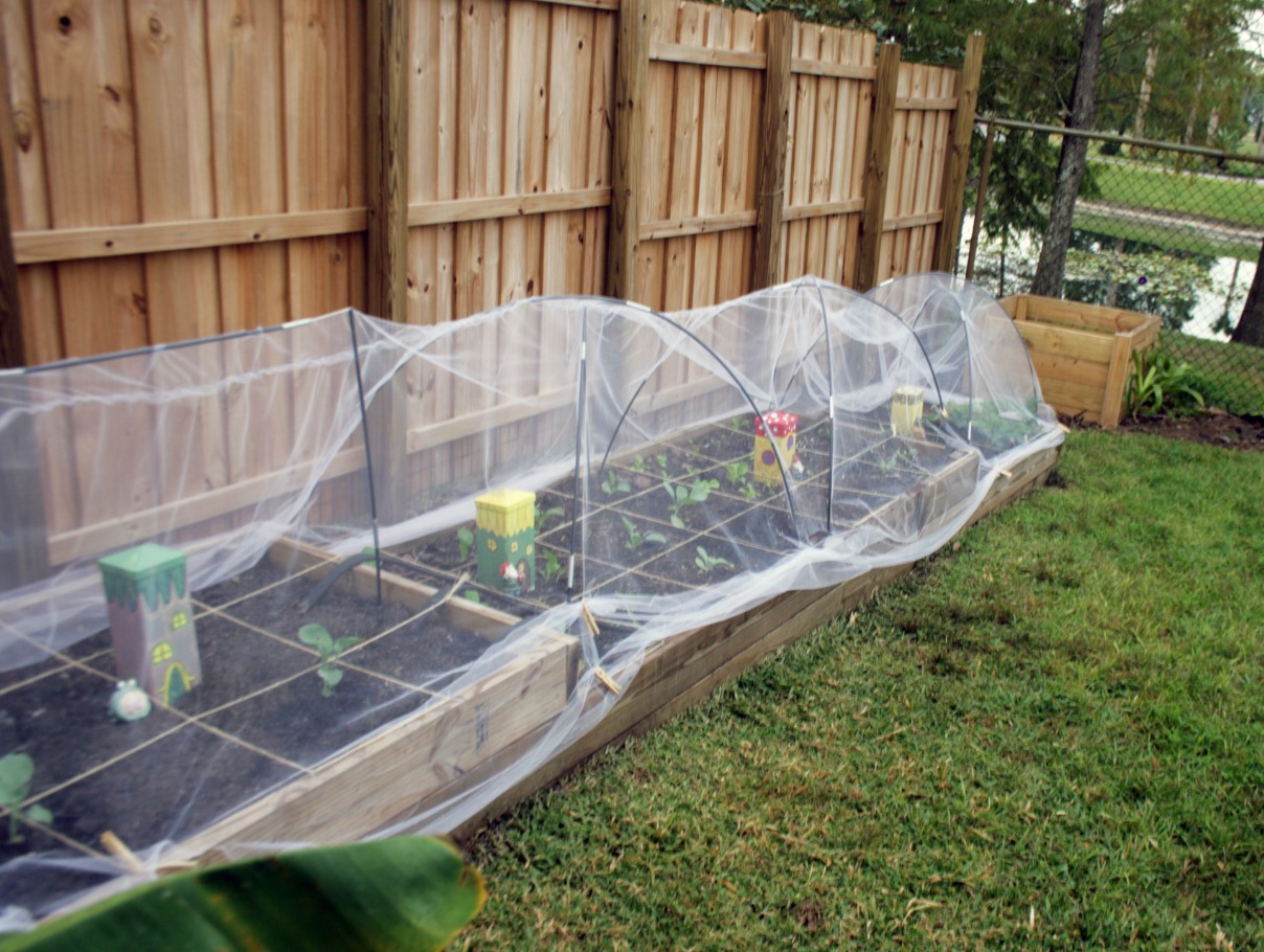 Kuidas pikendada aianduse hooaega Eestis: kerged tunnelid, kasvuhooned ja katused, mis toimivad