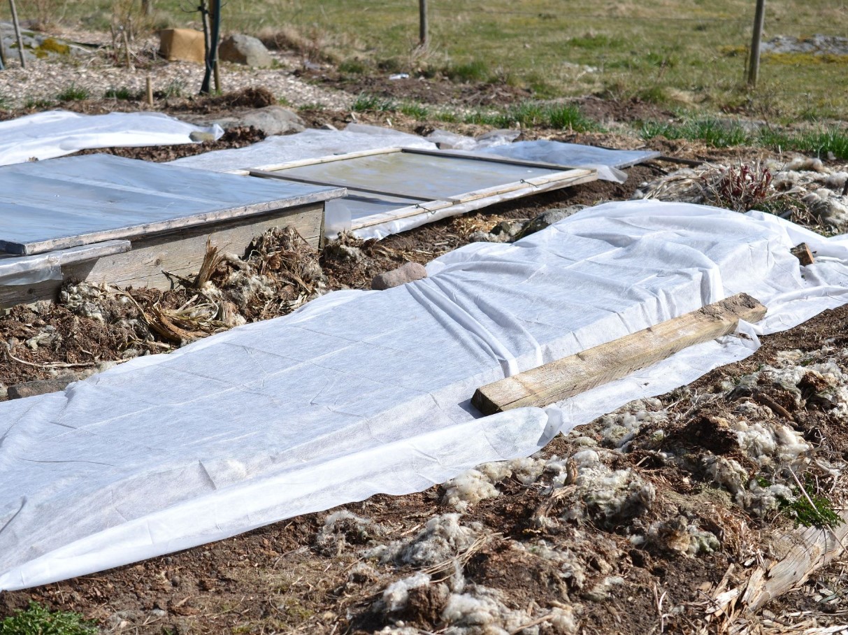 Kuidas pikendada aianduse hooaega Eestis: kerged tunnelid, kasvuhooned ja katused, mis toimivad