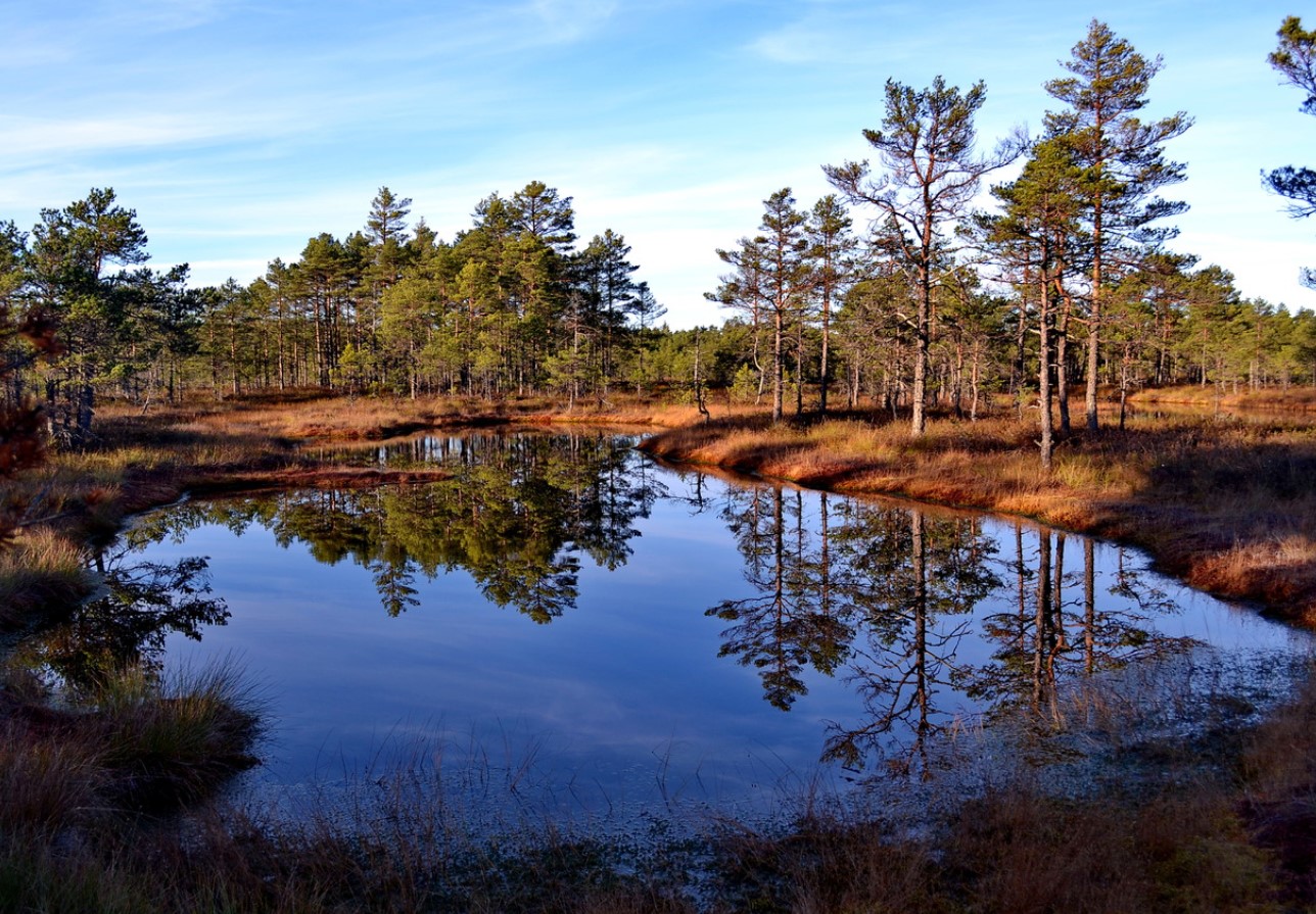 Säästvad turva asendajad: mida valida Eesti aiapidajale ja miks see on täna oluline