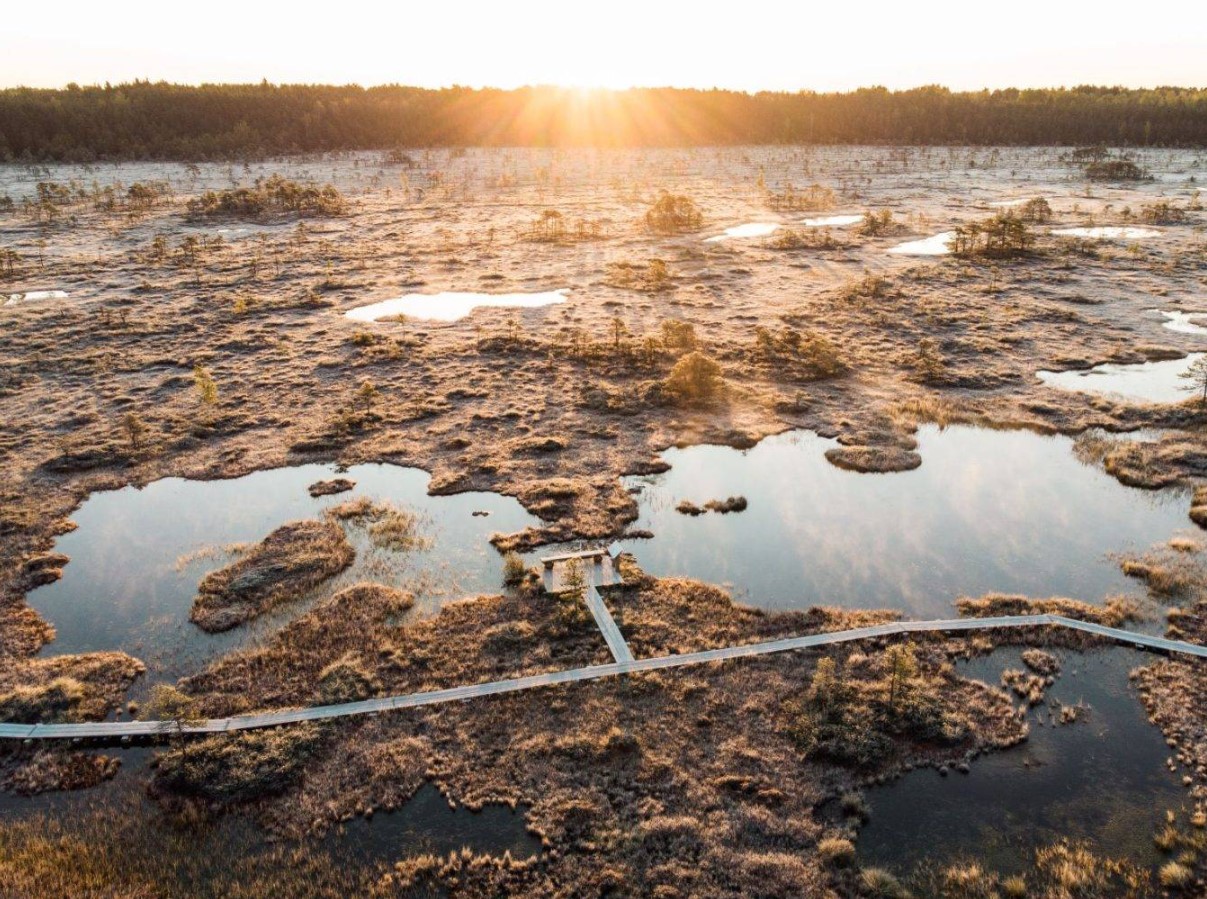 Säästvad turva asendajad: mida valida Eesti aiapidajale ja miks see on täna oluline