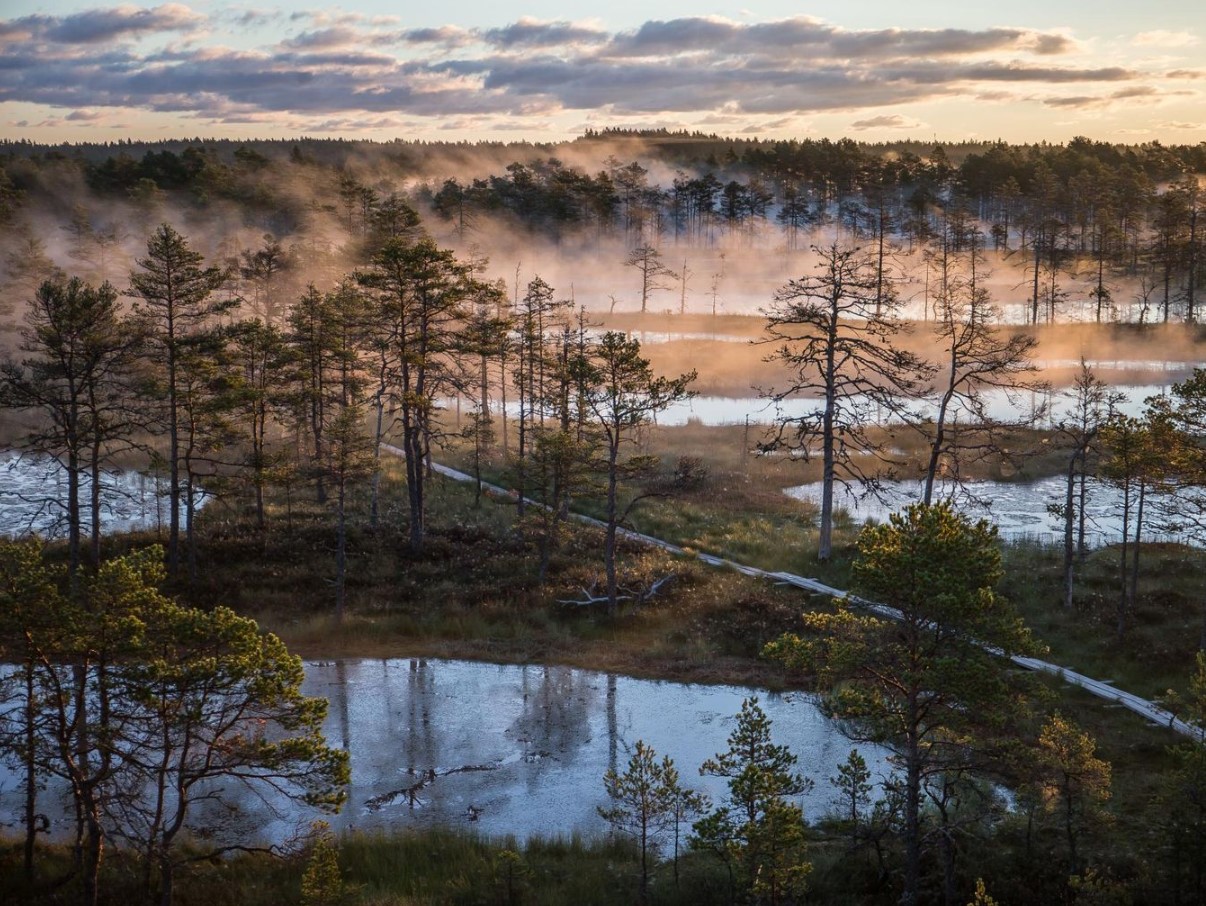 Säästvad turva asendajad: mida valida Eesti aiapidajale ja miks see on täna oluline